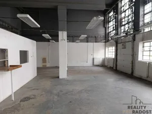 Pronájem skladu, Brno - Staré Brno, 220 m2