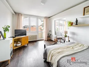 Pronájem bytu 1+1, České Budějovice - České Budějovice 3, Nerudova, 38 m2