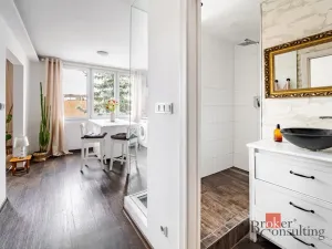 Pronájem bytu 1+1, České Budějovice - České Budějovice 3, Nerudova, 38 m2