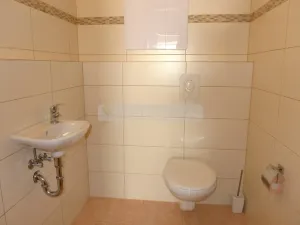 Pronájem bytu 2+kk, Plzeň, 87 m2