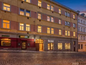 Pronájem bytu 2+1, Praha - Žižkov, Milíčova, 53 m2