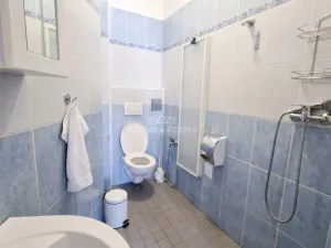 Pronájem bytu 2+1, Brno - Štýřice, Kamenná, 57 m2