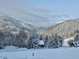 Prodej pozemku pro bydlení, Rokytnice nad Jizerou - Dolní Rokytnice, 2331 m2