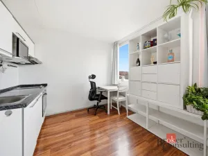 Prodej bytu 1+kk, Praha - Karlín, Molákova, 30 m2