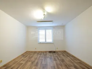 Pronájem bytu 1+1, Plzeň, K Papírně, 37 m2