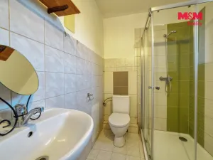 Pronájem bytu 1+kk, Cheb, Růžová, 27 m2