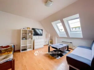 Prodej bytu 1+kk, Znojmo - Oblekovice, Oblekovická, 40 m2