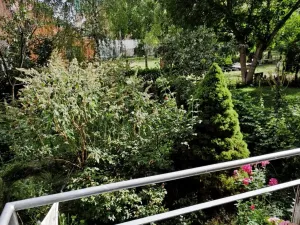 Prodej bytu 1+kk, Brno - Veveří, Kotlářská, 26 m2