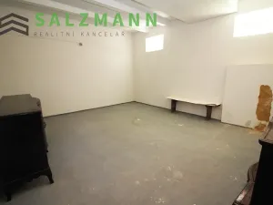 Prodej skladu, Plzeň, Francouzská třída, 39 m2