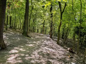 Prodej bytu 4+kk, Praha, Pod lysinami, 81 m2
