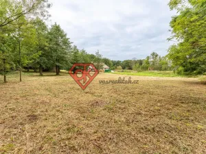 Prodej chalupy, Červená Voda - Dolní Orlice, 133 m2
