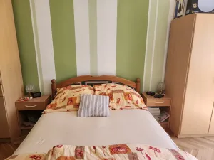 Prodej bytu 2+1, Teplice, Štúrova, 56 m2