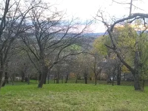 Prodej zahrady, Přílepy, 3492 m2