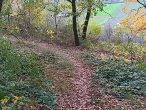 Prodej zahrady, Přílepy, 3492 m2