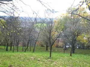 Prodej zahrady, Přílepy, 3492 m2