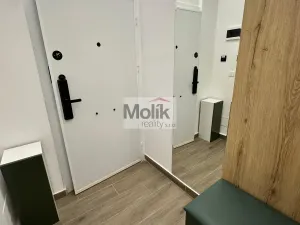 Prodej bytu 1+kk, Golem, 33 m2