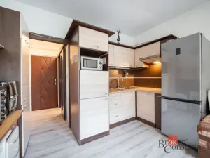Prodej bytu 1+1, Brno - Černovice, Turgeněvova, 34 m2