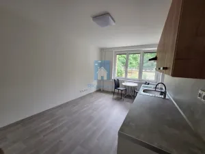 Pronájem bytu 1+kk, Plzeň, Táborská, 25 m2