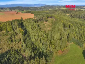 Prodej lesa, Vidochov, 8513 m2