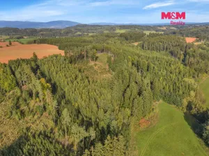 Prodej lesa, Vidochov, 8513 m2