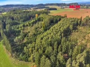 Prodej lesa, Vidochov, 8513 m2