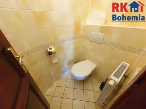 Pronájem bytu 4+1, Mladá Boleslav, Koněvova, 100 m2