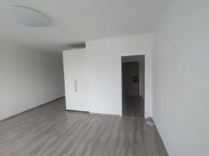 Pronájem bytu 1+kk, Ústí nad Labem - Krásné Březno, Dr. Horákové, 31 m2