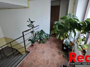 Pronájem bytu 1+kk, Brno - Veveří, Smetanova, 30 m2