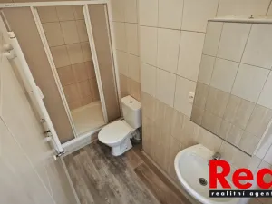 Pronájem bytu 1+kk, Brno - Veveří, Smetanova, 17 m2