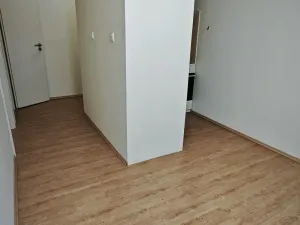 Pronájem bytu 1+kk, Brno - Veveří, Smetanova, 17 m2