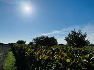 Prodej zahrady, Týnec, Náves, 1237 m2
