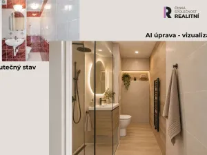 Prodej bytu 1+1, Otrokovice, Svobodova, 31 m2