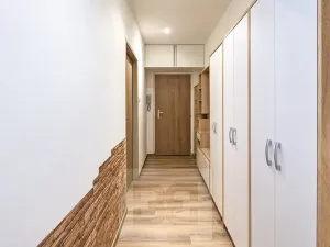 Pronájem bytu 3+kk, Plzeň, Francouzská třída, 52 m2
