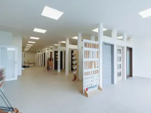 Prodej výrobních prostor, Ostrov, Krátká, 11439 m2