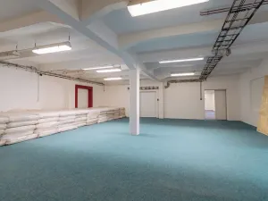 Prodej výrobních prostor, Ostrov, Krátká, 11439 m2