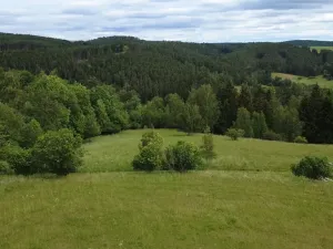 Prodej pozemku pro bydlení, Planá, 1435 m2