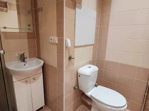 Pronájem bytu 1+1, Duchcov, Osecká, 35 m2