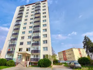 Pronájem bytu 1+1, Hodonín, Sv. Čecha, 34 m2