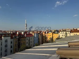 Pronájem bytu 3+kk, Praha, Korunní, 157 m2