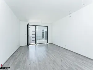 Prodej bytu 1+kk, Plzeň, Železná, 37 m2