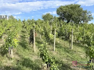 Prodej zahrady, Mikulov, Nová, 14 m2