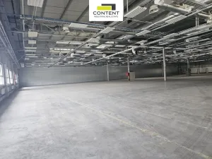 Pronájem výrobních prostor, Plzeň - Skvrňany, U Nové Hospody, 9800 m2