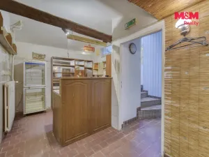Pronájem restaurace, Plzeň - Východní Předměstí, Sladkovského, 170 m2