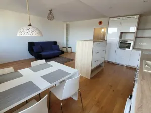 Pronájem bytu 3+kk, Praha - Žižkov, V zahrádkách, 47 m2