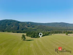 Prodej pozemku pro bydlení, Říčky v Orlických horách, 1400 m2