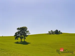 Prodej pozemku pro bydlení, Říčky v Orlických horách, 1400 m2
