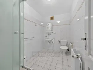 Prodej ubytování, Rožmberk nad Vltavou, 1750 m2