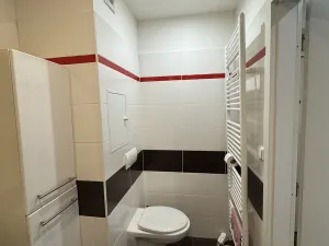Pronájem bytu 2+kk, Mladá Boleslav, Purkyňova, 64 m2