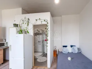 Pronájem bytu 1+kk, Přerov - Přerov I-Město, Husova, 26 m2