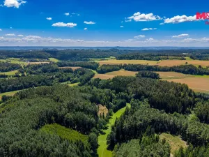 Prodej lesa, Bílá, 11944 m2